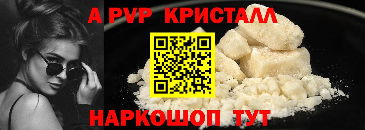 Альфа ПВП СК КРИС Хасавюрт